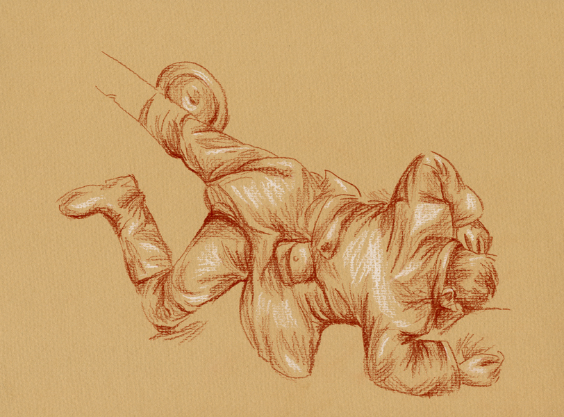 Anatomical