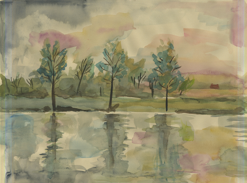 Landscape