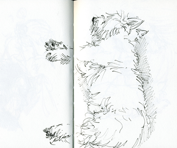Snootydoo
