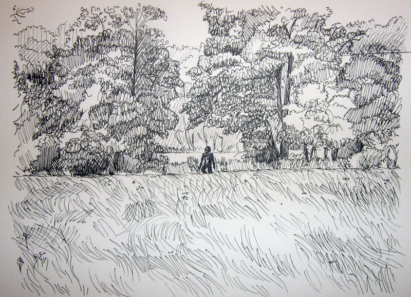 Sketch