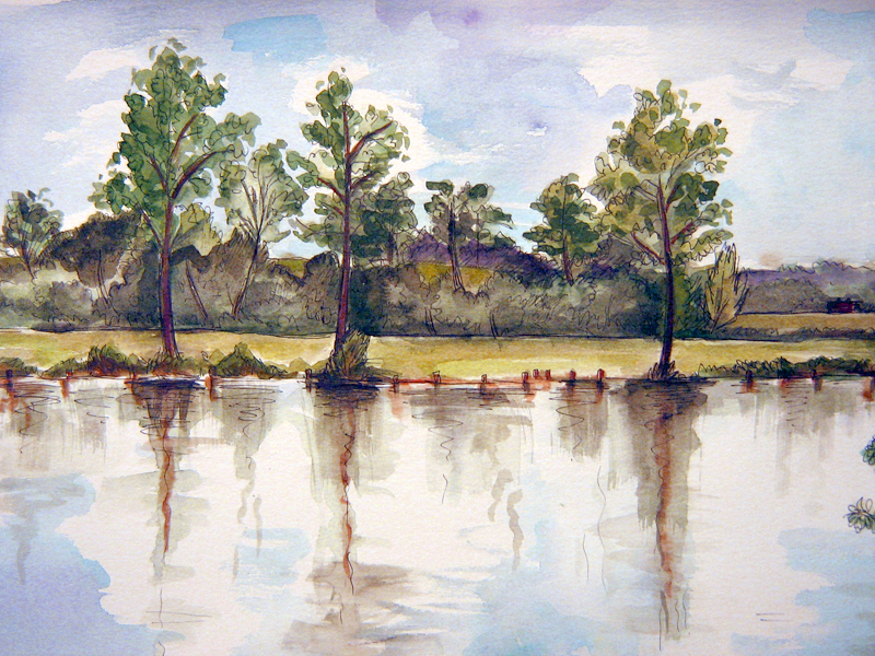 Landscape